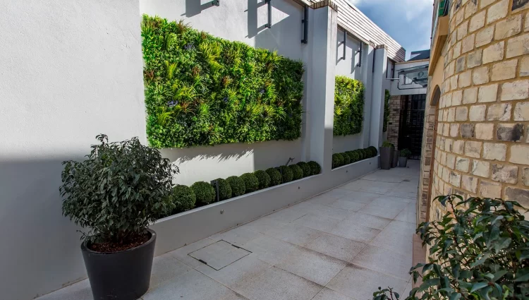 Why You Need Artificial Green Wall At Home