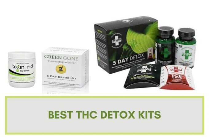 A Guide to Preparing for a THC Detox Program: What You Need To Know Before Starting