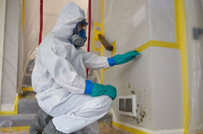 Mold Remediation After Flooding: Essential Steps and Tips